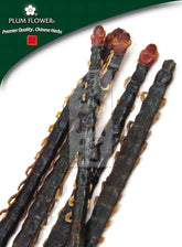 Wu Gong, unsulfured Scolopendra subspinipes mutilans